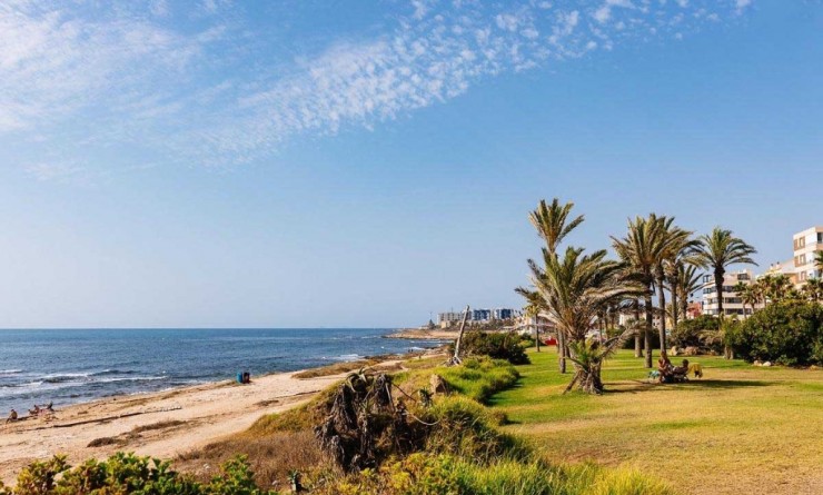 Wederverkoop - Appartement - Torrevieja - La veleta