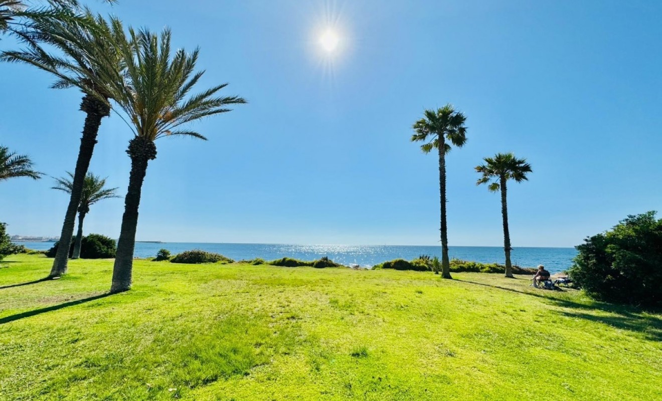 Wederverkoop - Appartement - Torrevieja - La veleta