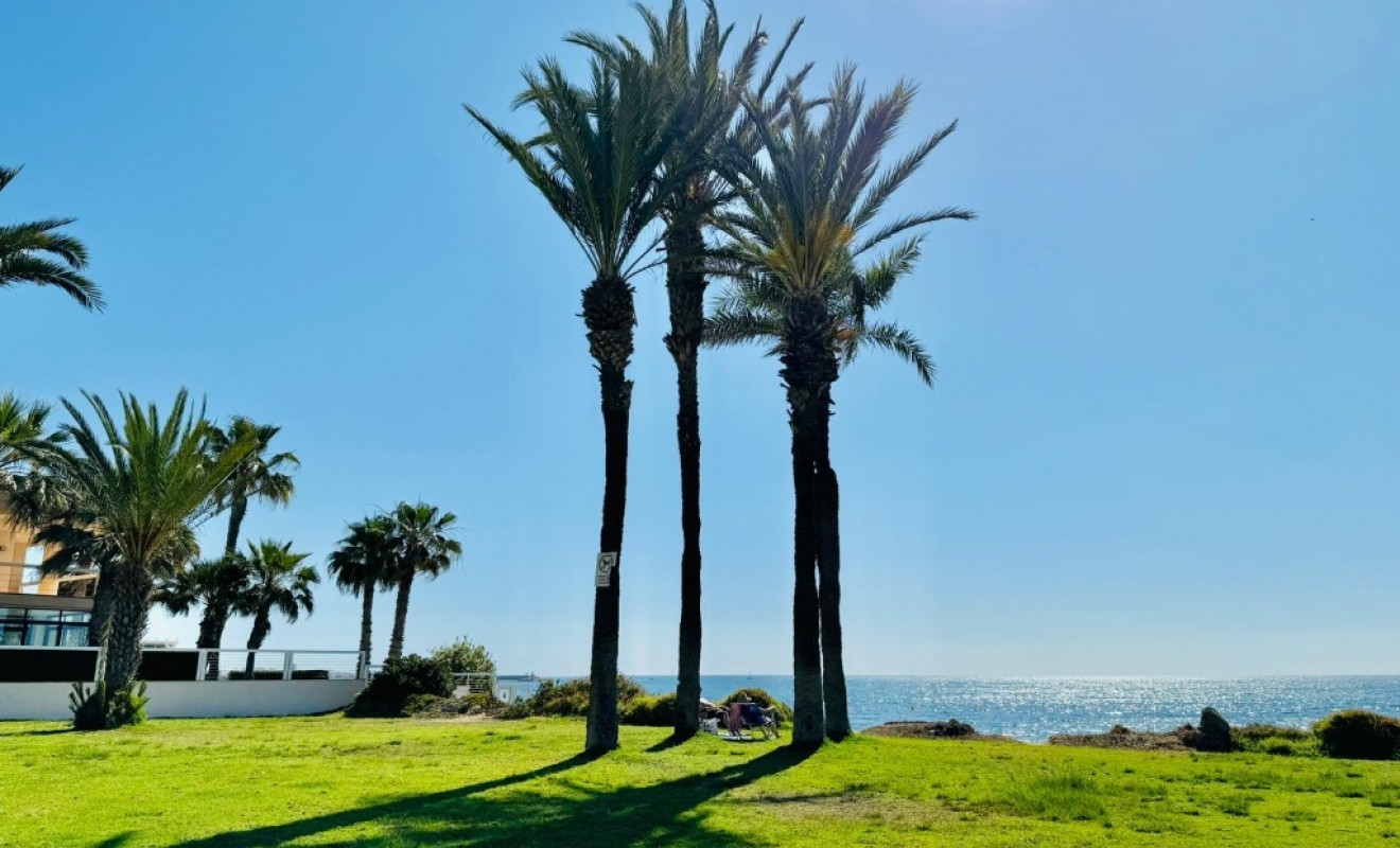 Sale - Apartment - Torrevieja - La veleta