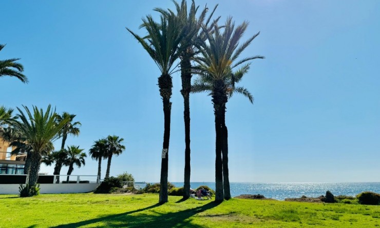 Sale - Apartment - Torrevieja - La veleta