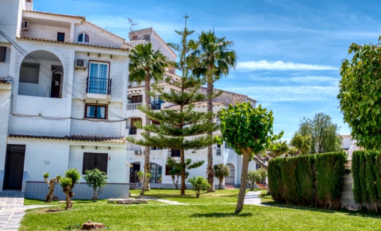 Revente - Maison de ville - Torrevieja - torrevieja