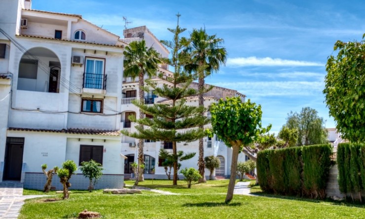 Revente - Maison de ville - Torrevieja - torrevieja