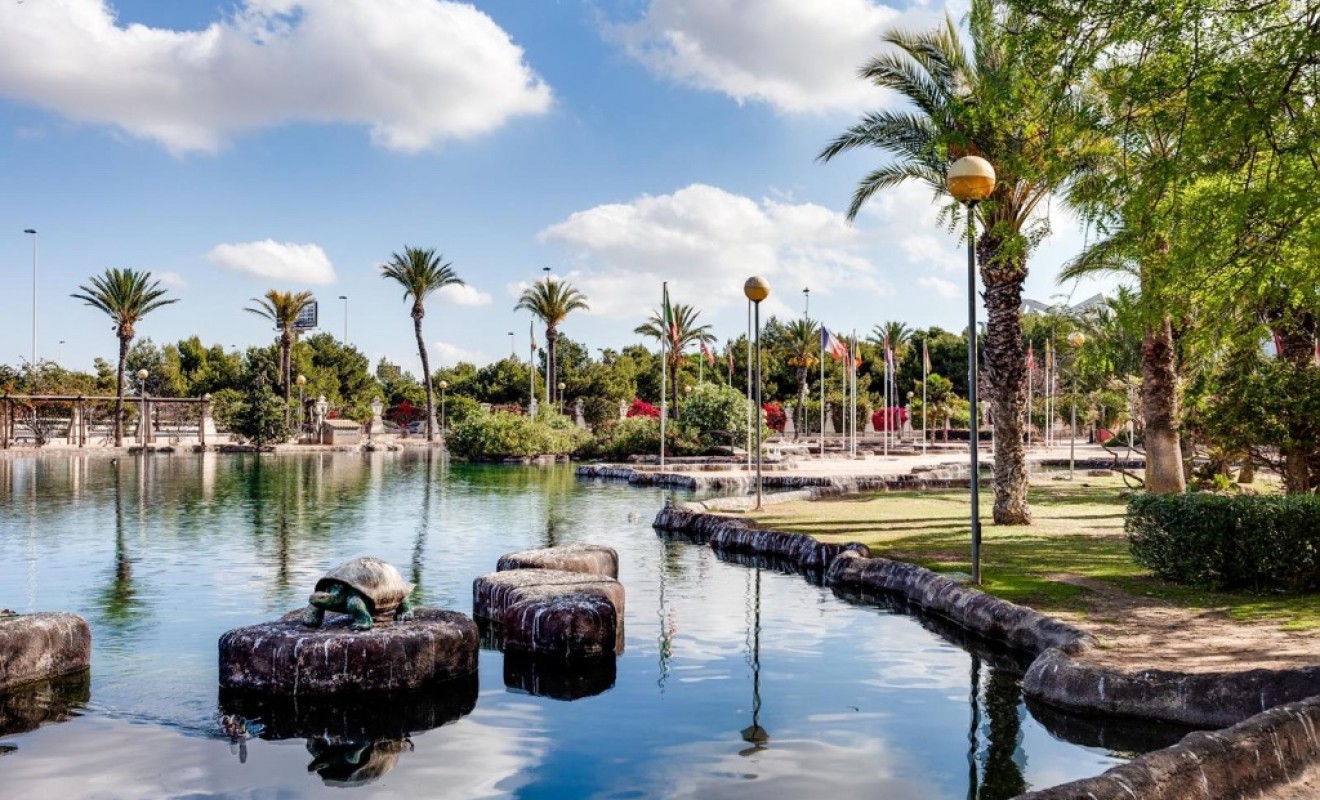 Sale - Apartment - Torrevieja - torrevieja