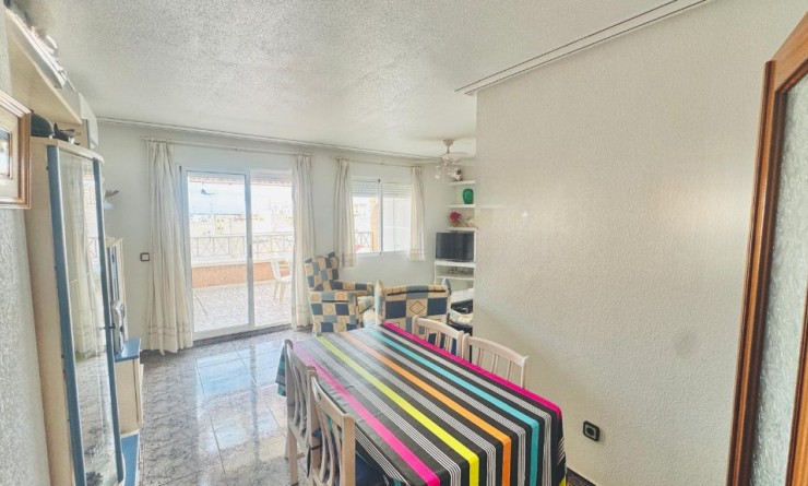 Revente - Appartement - Torrevieja - torrevieja