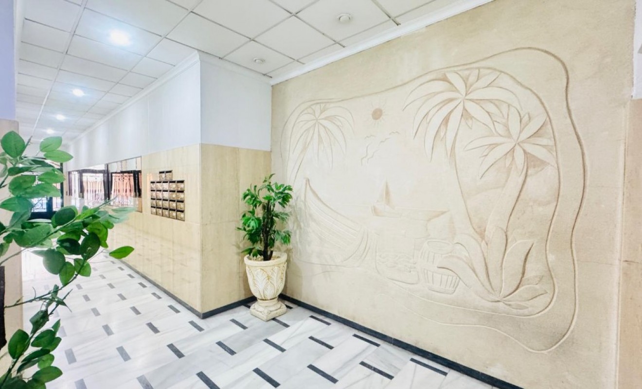 Revente - Appartement - Torrevieja - torrevieja