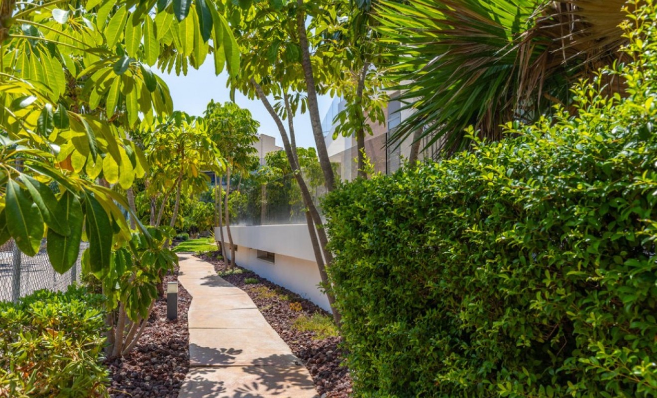 Revente - Appartement - Cabo Roig