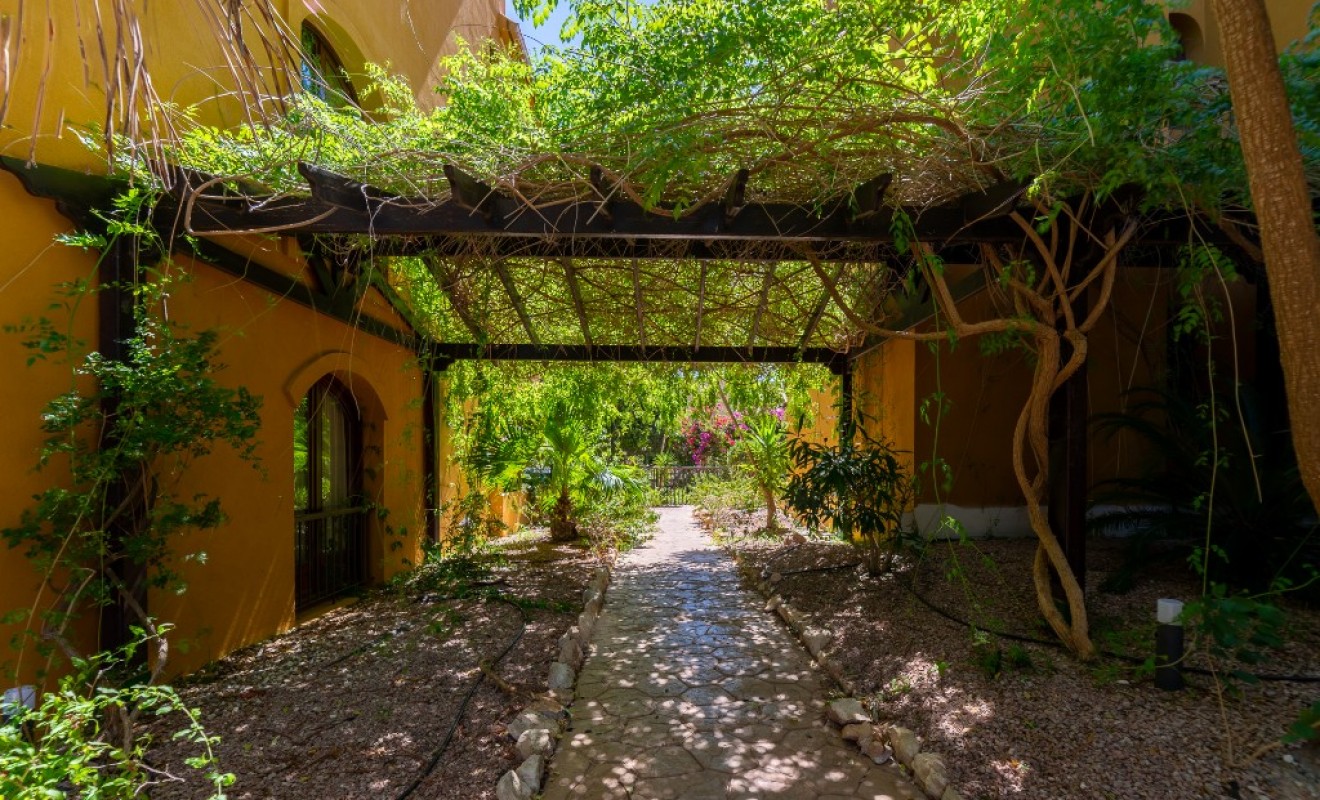 Wederverkoop - Appartement - Punta Prima