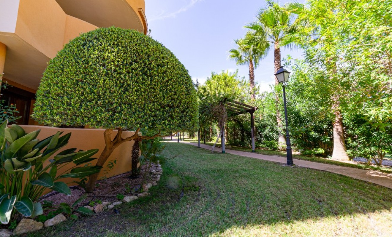 Wederverkoop - Appartement - Punta Prima