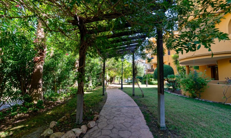 Wederverkoop - Appartement - Punta Prima