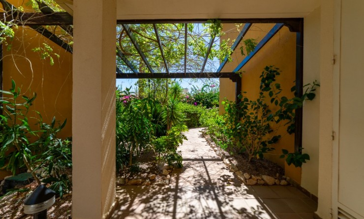 Wederverkoop - Appartement - Punta Prima