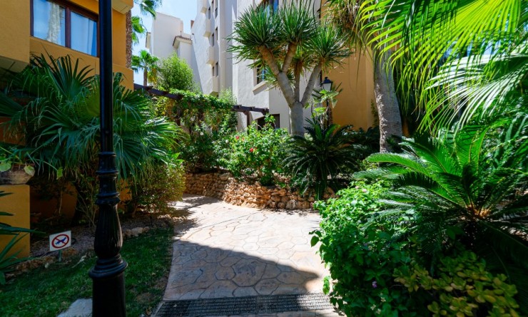 Wederverkoop - Appartement - Punta Prima