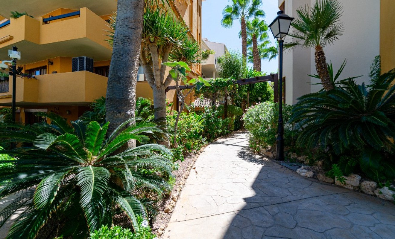 Wederverkoop - Appartement - Punta Prima