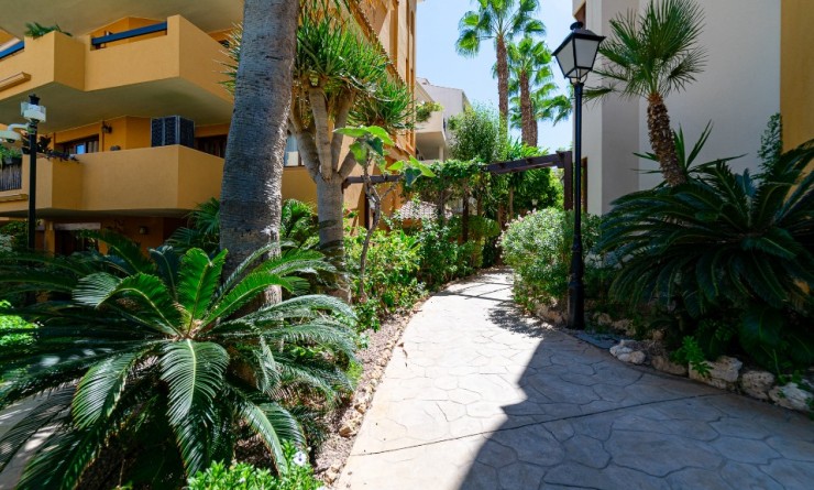 Wederverkoop - Appartement - Punta Prima