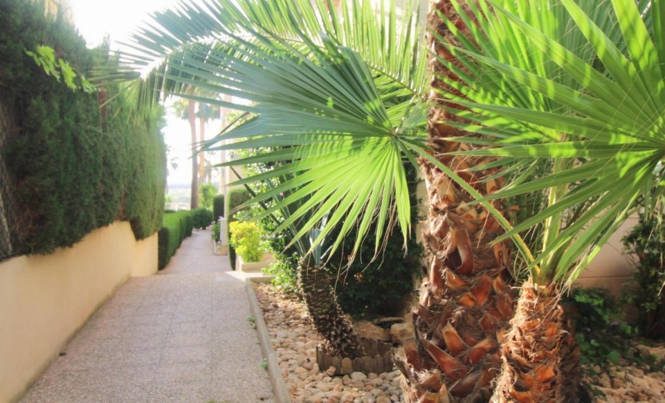 Sale - Apartment - Torrevieja - torrevieja