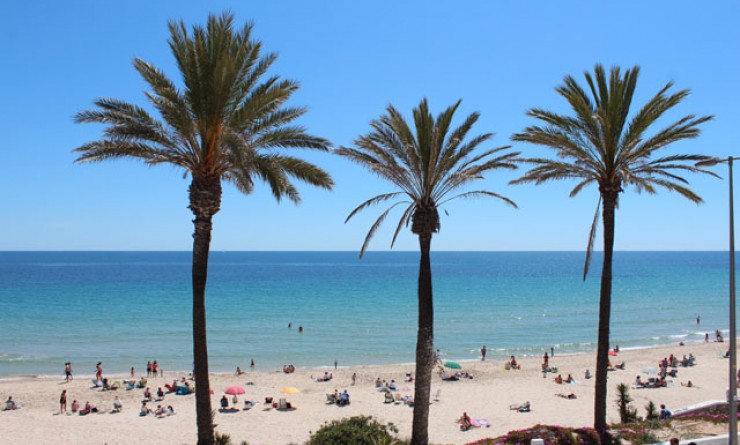 Sale - Apartment - Pilar de la Horadada - Mil Palmeras