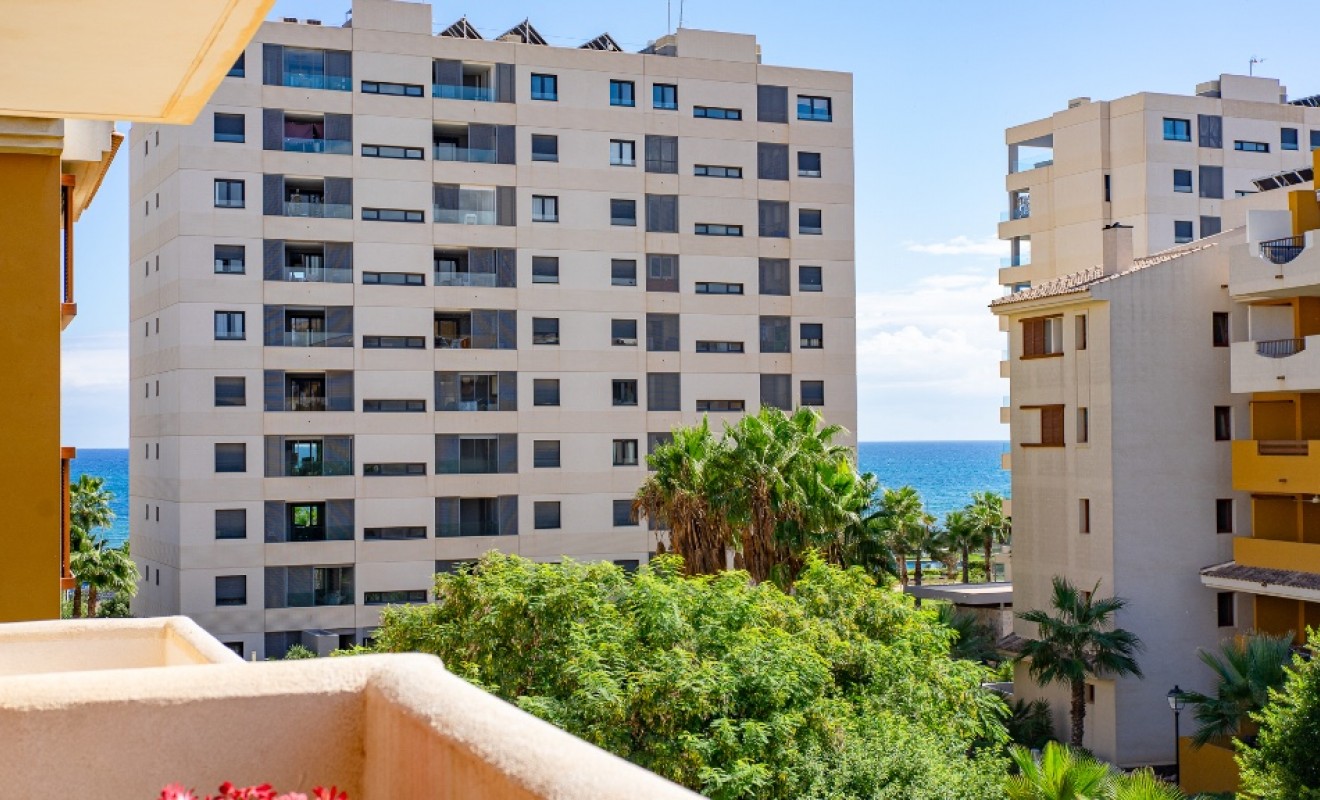 Revente - Appartement - Punta Prima