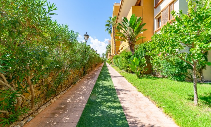 Revente - Appartement - Punta Prima