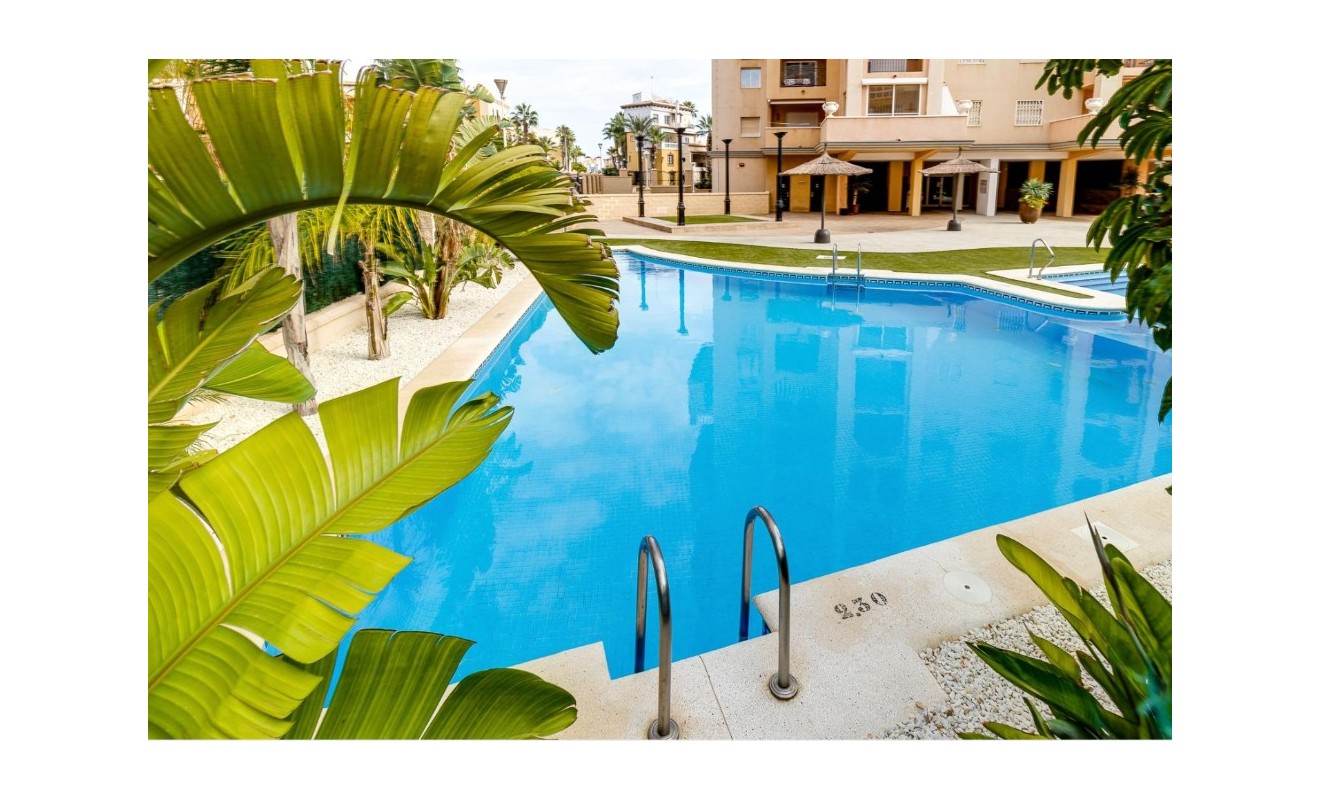 Revente - Appartement - Torrevieja - torrevieja
