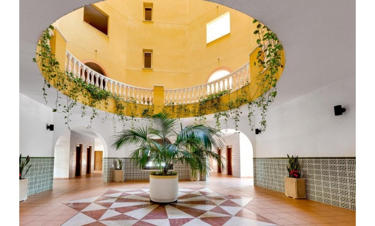 Revente - Appartement - Torrevieja - torrevieja