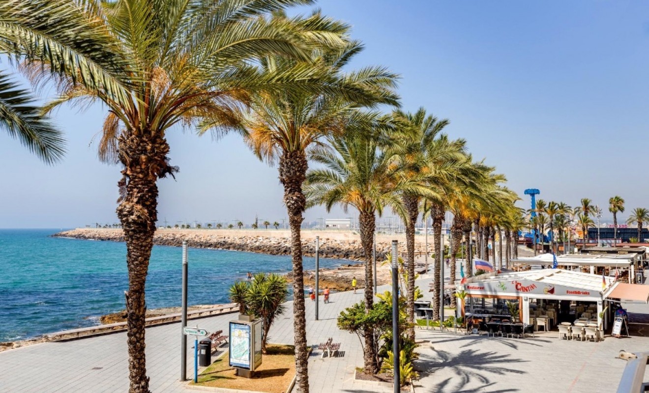 Revente - Appartement - Torrevieja - torrevieja