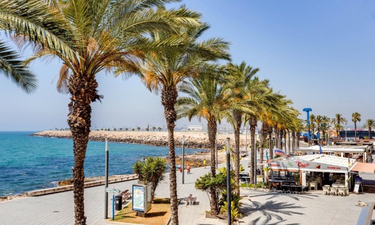 Revente - Appartement - Torrevieja - torrevieja