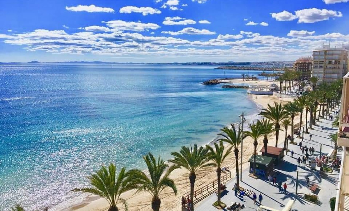 Revente - Appartement - Torrevieja - torrevieja