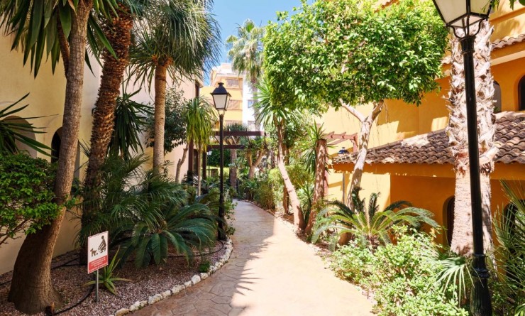 Revente - Appartement - Punta Prima