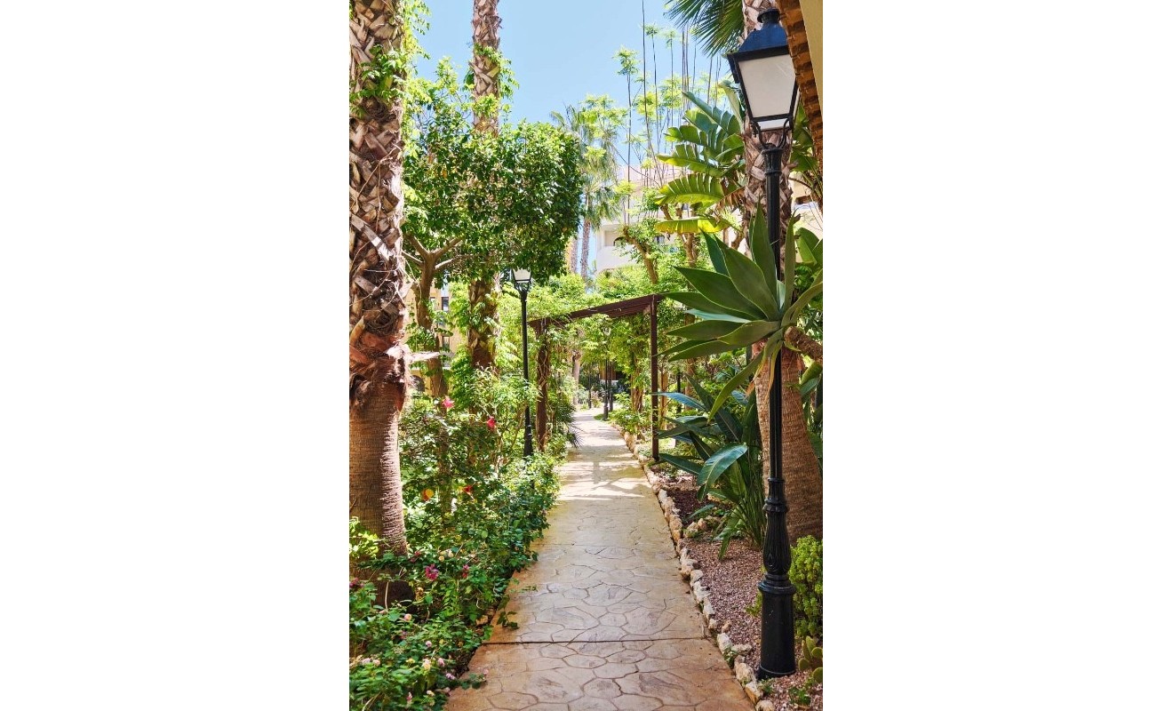 Revente - Appartement - Punta Prima