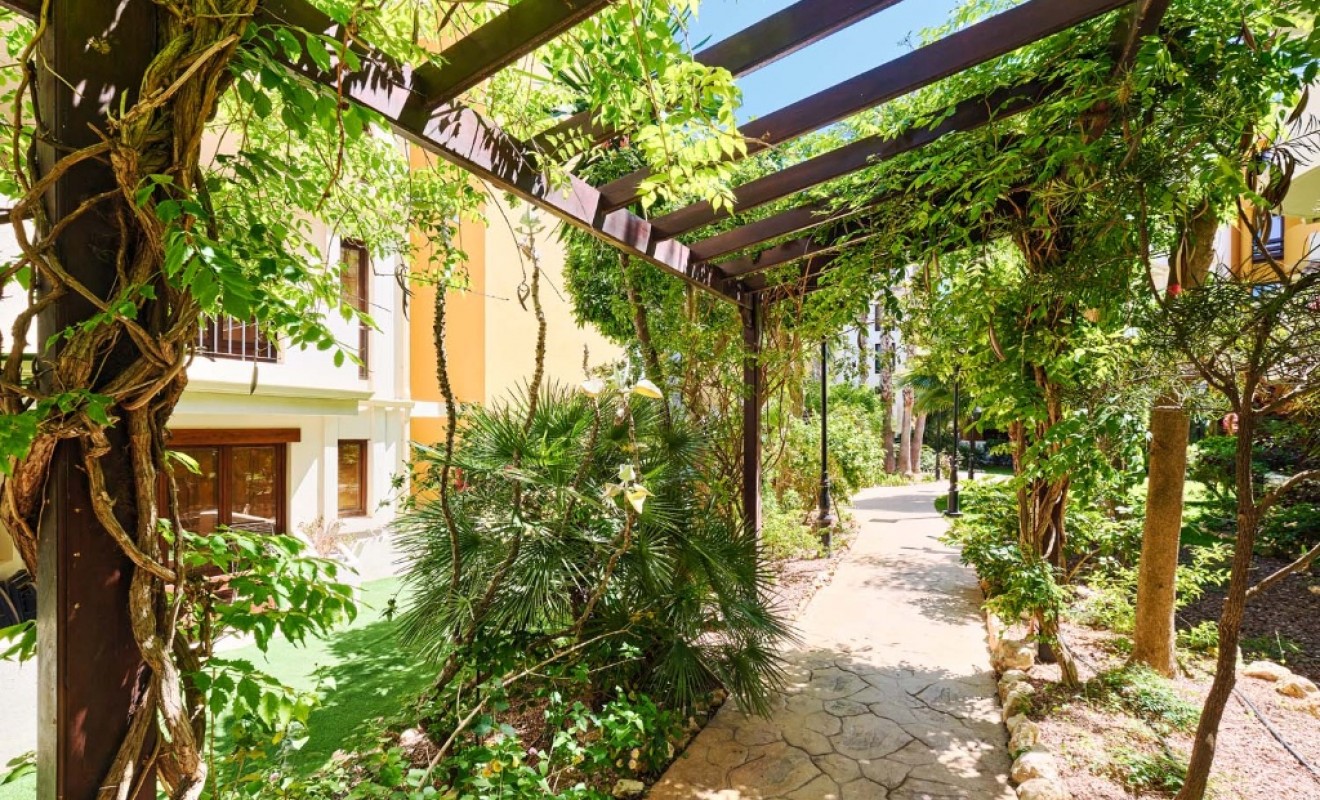 Revente - Appartement - Punta Prima