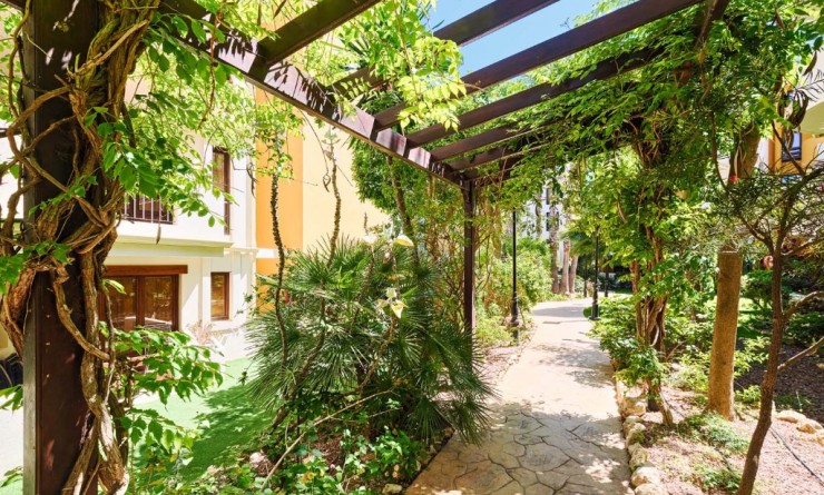 Revente - Appartement - Punta Prima