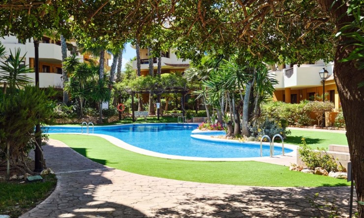 Revente - Appartement - Punta Prima