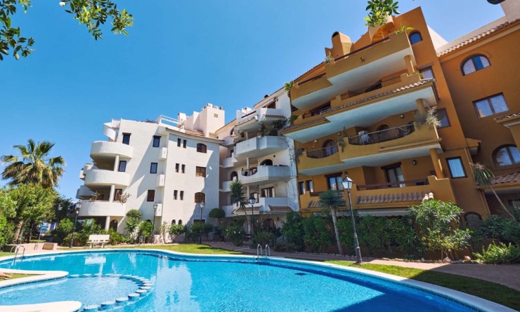 Revente - Appartement - Punta Prima