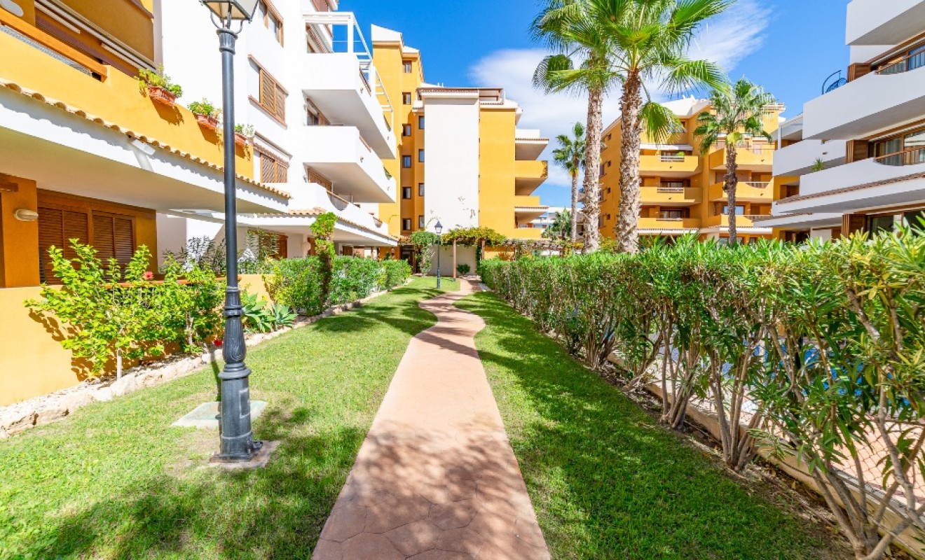 Revente - Appartement - Punta Prima