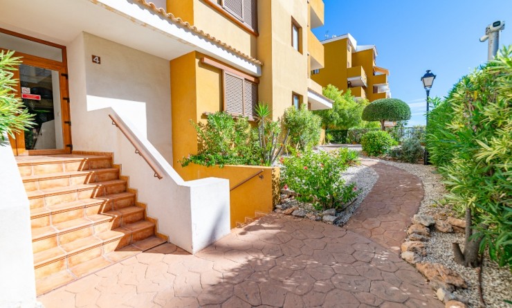 Revente - Appartement - Punta Prima