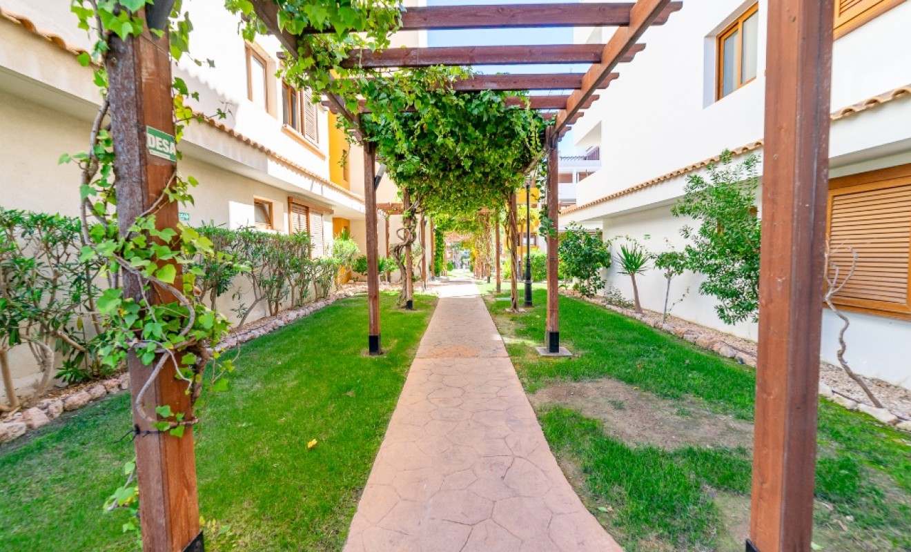 Revente - Appartement - Punta Prima