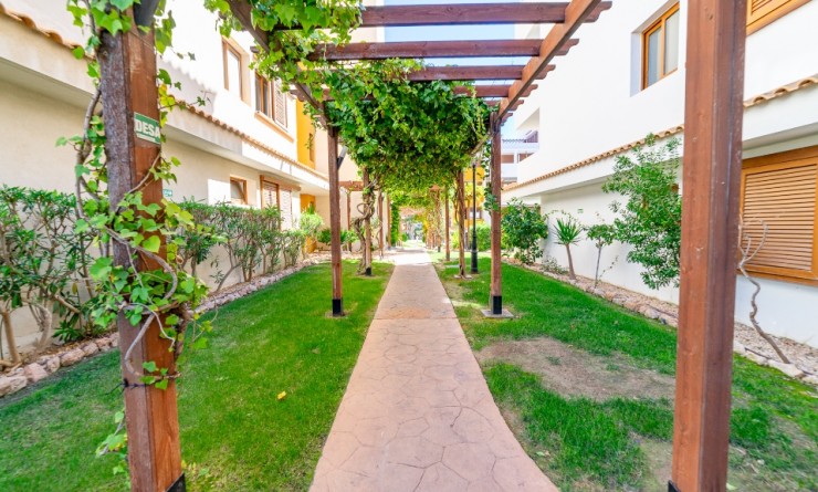 Revente - Appartement - Punta Prima