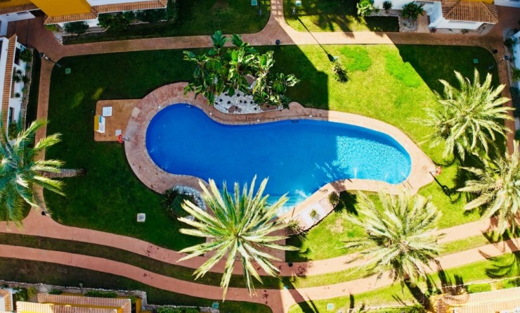 Revente - Appartement - Punta Prima