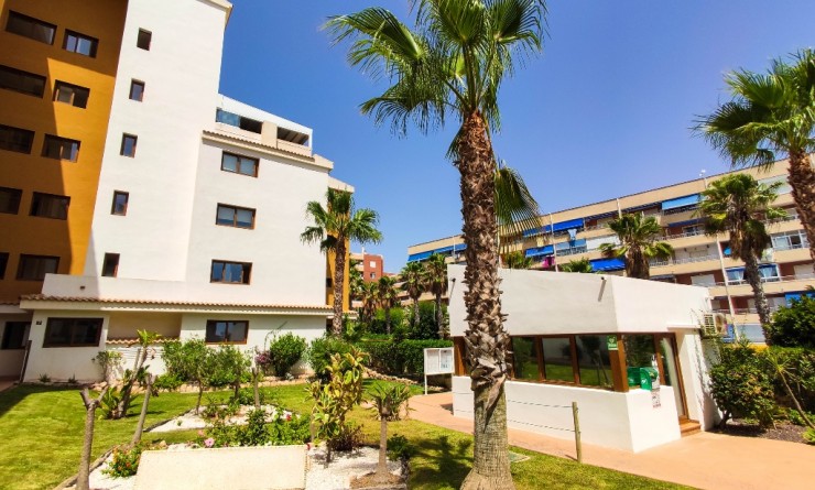 Revente - Appartement - Punta Prima