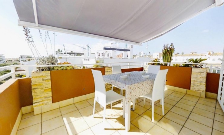 Revente - Appartement - Punta Prima