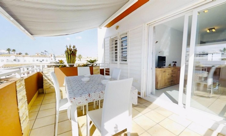 Revente - Appartement - Punta Prima