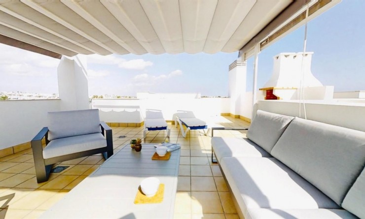 Revente - Appartement - Punta Prima