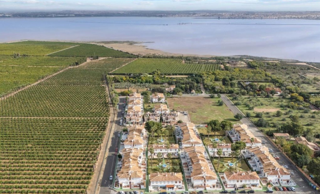 Wederverkoop - Appartement - Torrevieja - Lago jardin