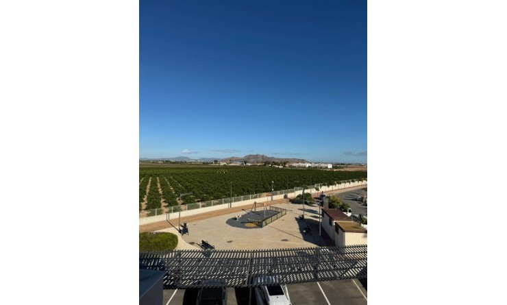 Wederverkoop - Appartement - Torrevieja - Lago jardin