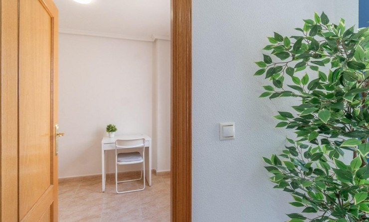 Wederverkoop - Penthouse - Torrevieja - Centro