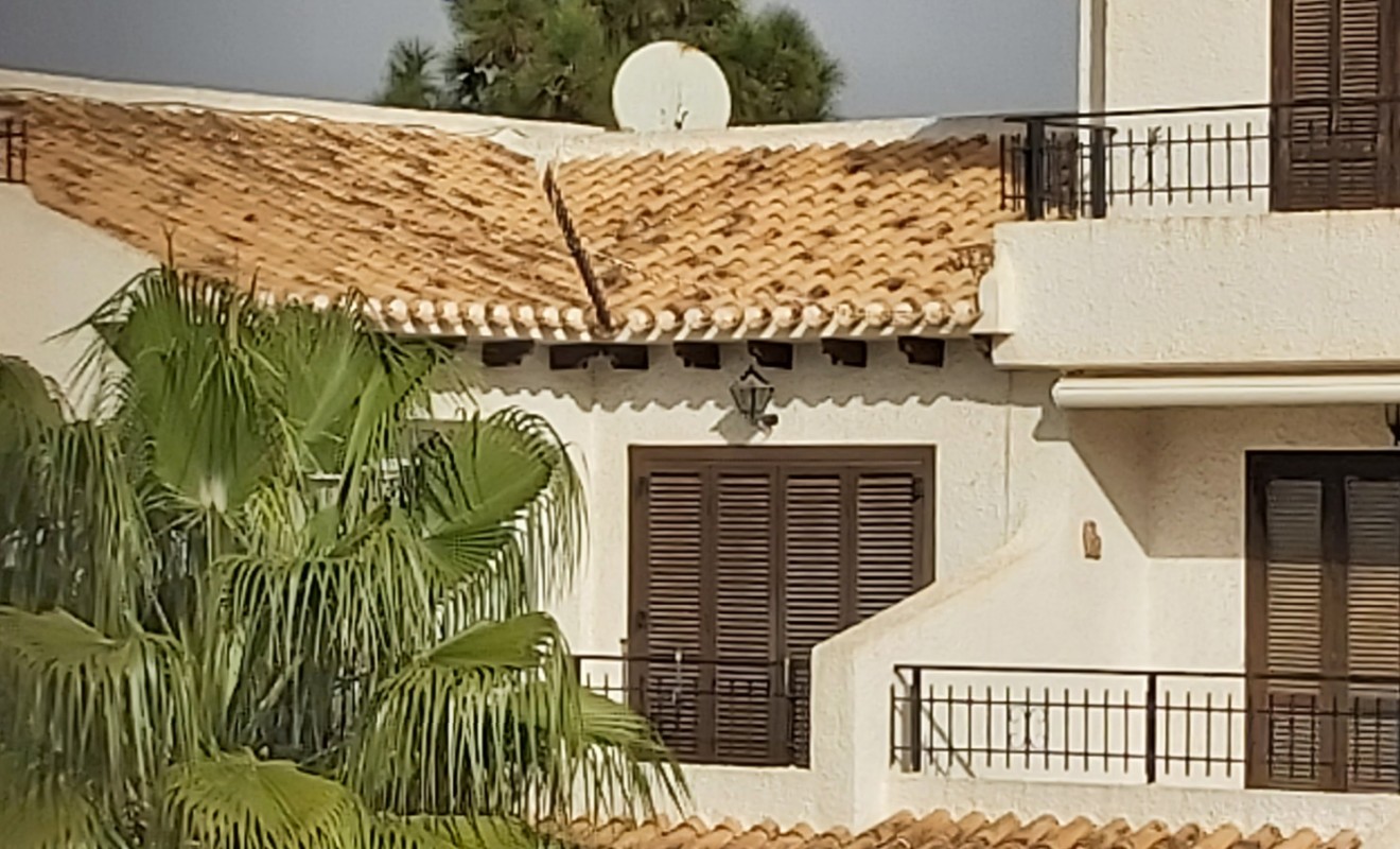 Revente - Apartment / flat - Cabo Roig