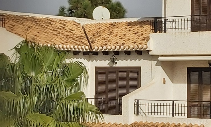 Revente - Apartment / flat - Cabo Roig