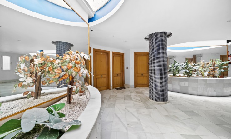 Wederverkoop - Apartamento - Torrevieja - Centro