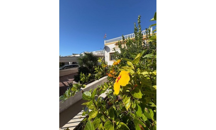 Sale - Semi-detached Villa - San Fulgencio