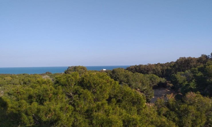 Nouvelle construction - Ground floor apartment - Guardamar del Segura - Pueblo