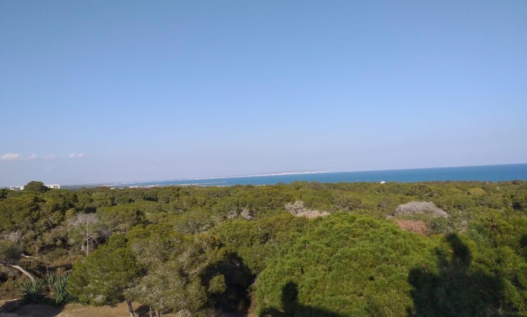 Nieuwbouw woningen - Penthouse - Guardamar del Segura - Pueblo